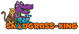 SNODGRASS-KING logo