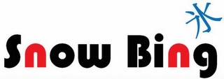 SNOW BING logo