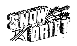 SNOW DRIFT logo