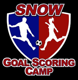 SNOW GOAL SCORING CAMP logo