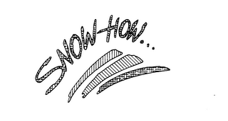 SNOW HOW logo