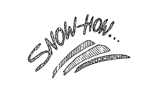 SNOW HOW... logo