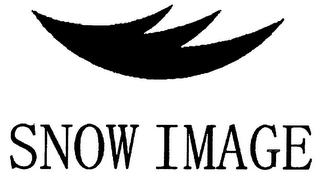 SNOW IMAGE logo