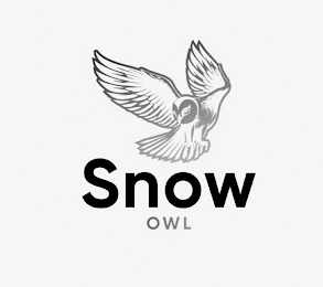 SNOW OWL logo