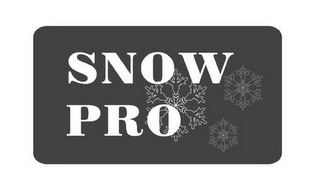 SNOW PRO logo