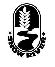 SNOW RIVER logo