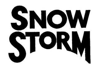 SNOW STORM logo