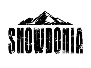 SNOWDONIA logo