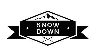 SNOWDOWN logo