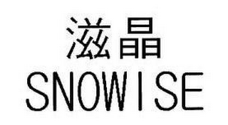 SNOWISE logo