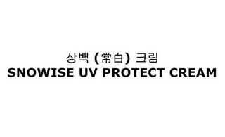 SNOWISE UV PROTECT CREAM logo