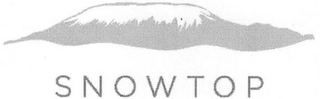 SNOWTOP logo