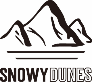 SNOWY DUNES