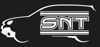 SNT logo