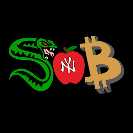 SNYB logo