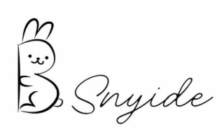 SNYIDE logo