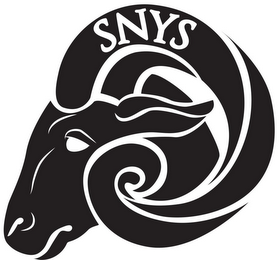 SNYS logo