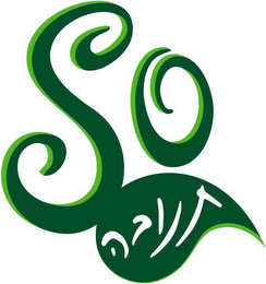 SO logo