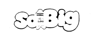 SO BIG logo