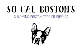 SO CAL BOSTON'S CHARMING BOSTON TERRIER PUPPIES logo
