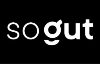 SO GUT logo