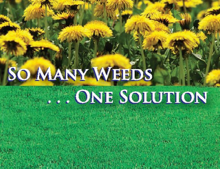 SO MANY WEEDS . . . ONE SOLUTION logo