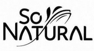 SO NATURAL logo