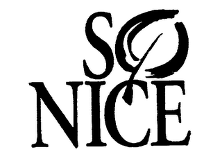 SO NICE logo