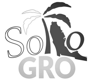 SO O GRO logo