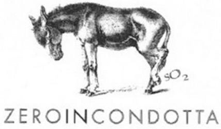 SO2 ZEROINCONDOTTA logo
