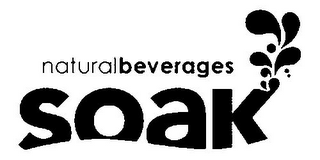 SOAK NATURAL BEVERAGES logo