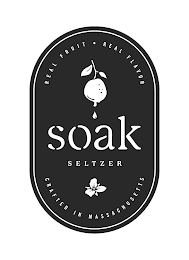 SOAK SELTZER REAL FRUIT · REAL FLAVOR CRAFTED IN MASSACHUSETTS logo