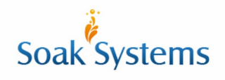 SOAK SYSTEMS logo