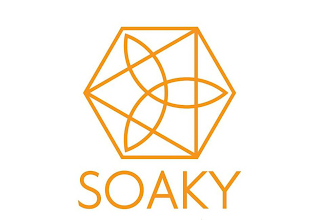 SOAKY logo