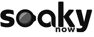 SOAKY NOW logo