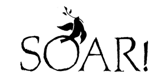 SOAR! logo