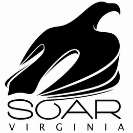 SOAR VIRGINIA logo