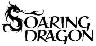 SOARING DRAGON logo