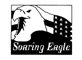 SOARING EAGLE logo