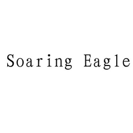 SOARING EAGLE logo