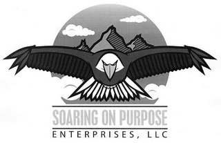 SOARING ON PURPOSE ENTERPRISES, LLC logo