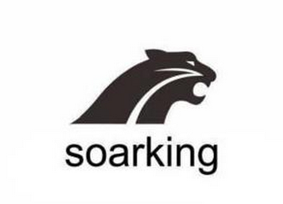 SOARKING logo