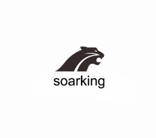 SOARKING logo