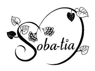 SOBA-TIA logo
