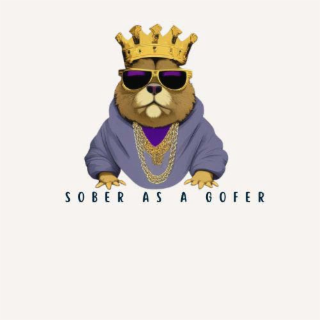 SOBER AS A GOFER logo