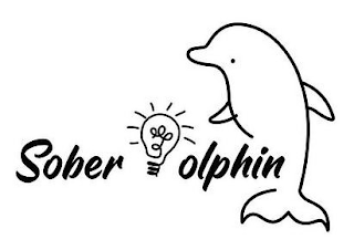 SOBER DOLPHIN logo