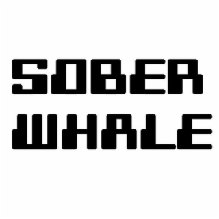 SOBER WHALE
