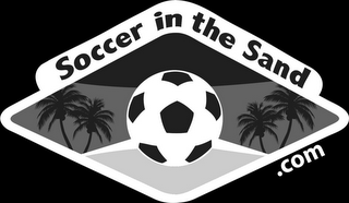 SOCCER IN THE SAND.COM logo