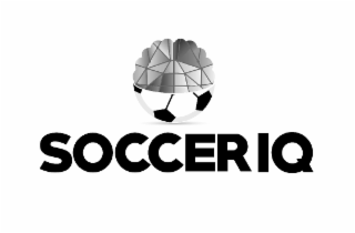 SOCCER IQ logo