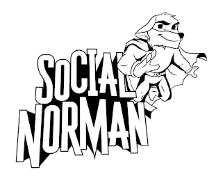 SOCIAL NORMAN N logo